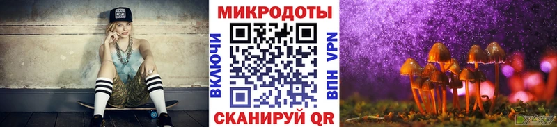 Купить закладки  Нововоронеж  Псилоцибиновые грибы Magic Shrooms 