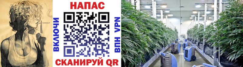 Конопля White Widow  Купить закладки  Нововоронеж 